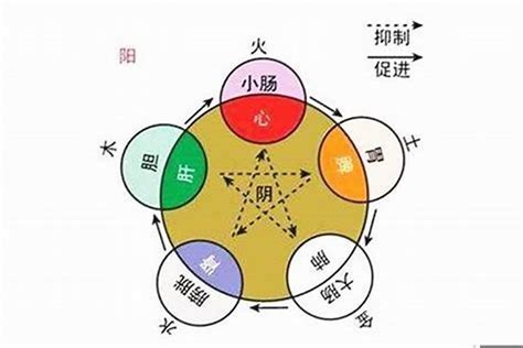 羽 五行属什么|羽的意思